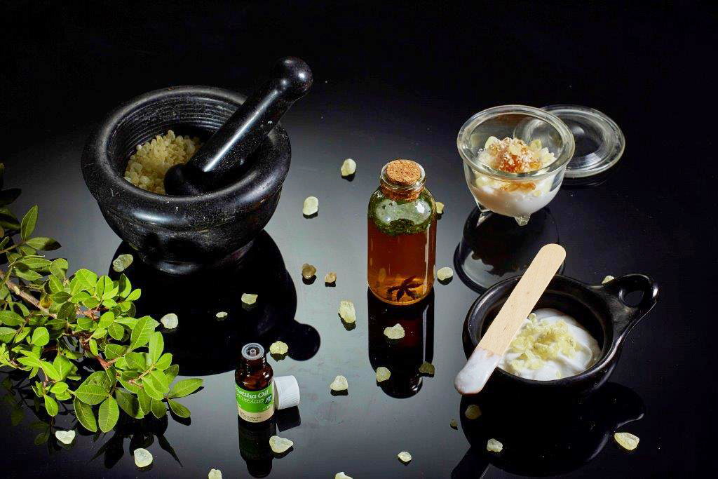 Seminar on the health properties of Chios Mastiha